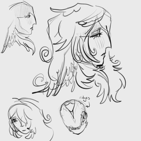 side profile concepts, 2026